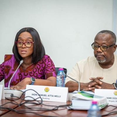 Public Accounts Committee Directs Health Institutions to Recover Owed Monies as Committee Settles Street Mental Health Debts